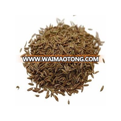 High quality wholesale price Herb & Spices Indian origin Cumin Seeds