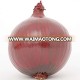 2017 bulk fresh red onion