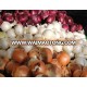 High Quality Fresh Onion - Whatsapp: 0084 971 233 394