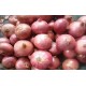 Export Quality Fresh Red Onion